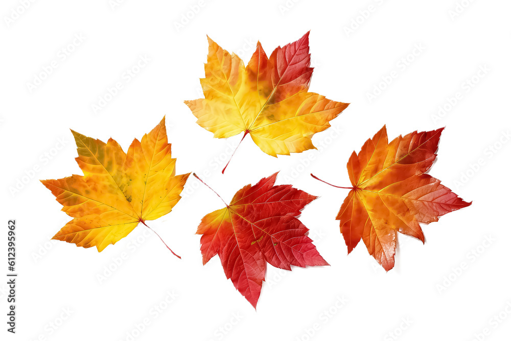 collection of beautiful colorful autumn leaves on white background, AI collection of beautiful colorful autumn leaves on white background, AI
