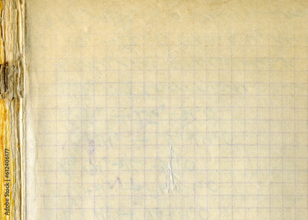 Fototapeta premium Vintage squared paper sheet background. Old antique paper texture. Vintage paper background. Aged and yellowed wallpaper.