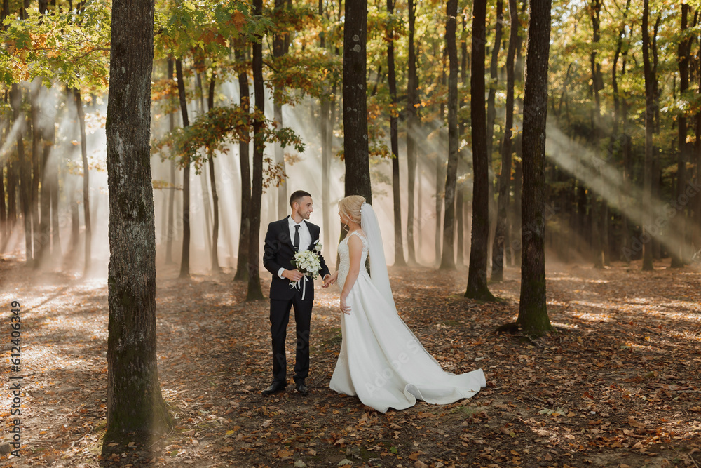the bride and groom are dancing against the background of a fairy-tale fog in the forest. The rays of the sun break through the smoke, a fairy-tale wedding the bride and groom are dancing against the background of a fairy-tale fog in the forest. The rays of the sun break through the smoke, a fairy-tale wedding
