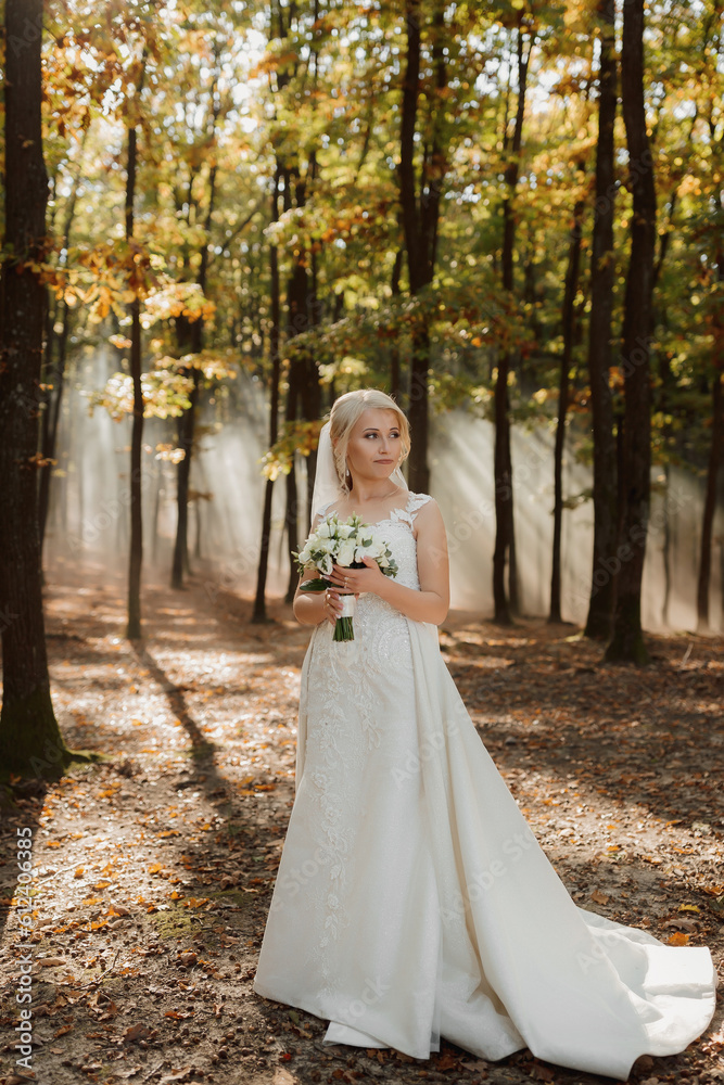 the bride is walking against the background of a fairy-tale fog in the forest. The rays of the sun break through the smoke, a fairy-tale wedding the bride is walking against the background of a fairy-tale fog in the forest. The rays of the sun break through the smoke, a fairy-tale wedding