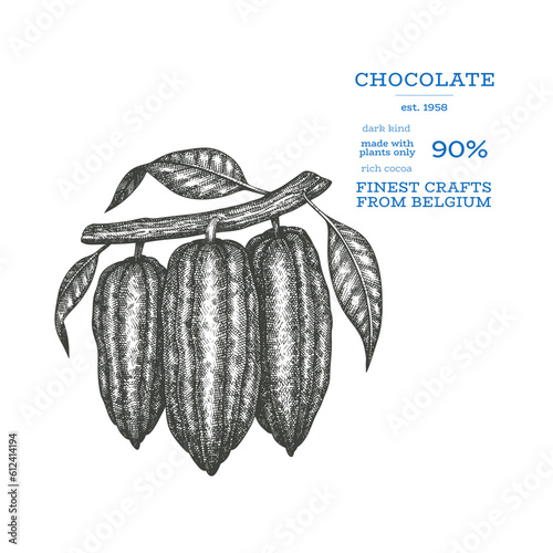 Cocoa image. Chocolate cocoa beans background. Vector hand drawn illustration. Vintage style illustration. photo