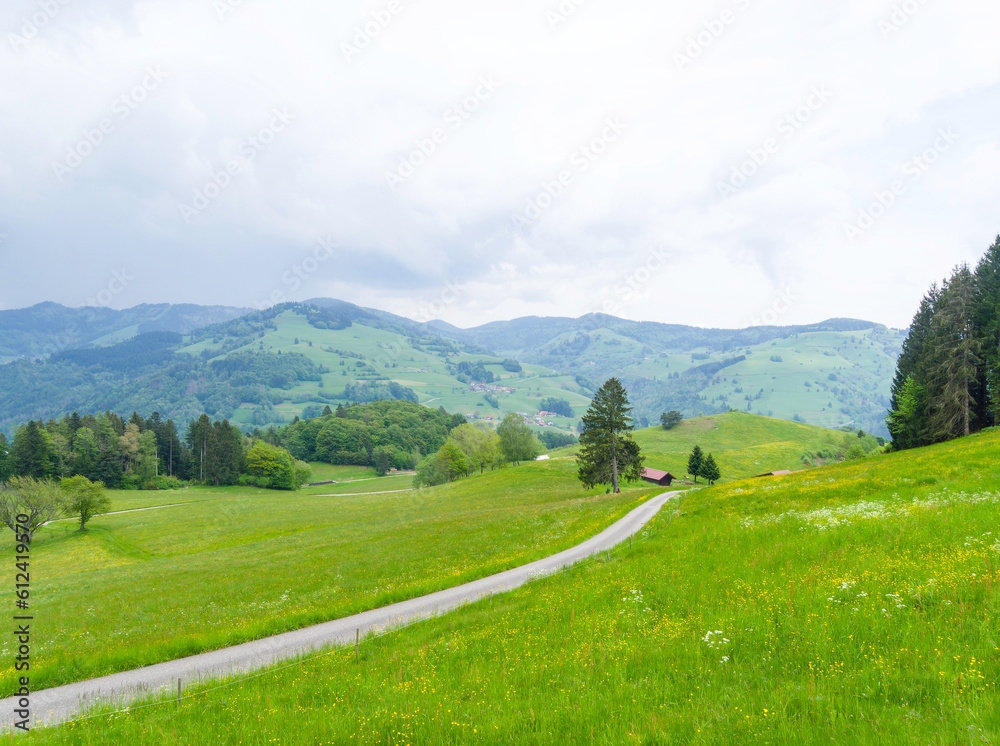 Naturpark Südschwarzwald - Grüne Landschaften aus Wiesen, Weiden, Hügeln und Bergen rund um Fröhnd  im Wiesental zwischen Schönau und Zell
