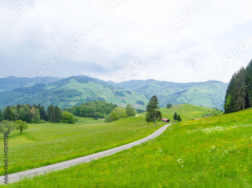 Naturpark Südschwarzwald - Grüne Landschaften aus Wiesen, Weiden, Hügeln und Bergen rund um Fröhnd im Wiesental zwischen Schönau und Zell 