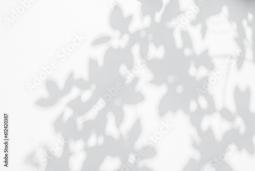 Abstract leaf shadow and light blurred background. Natural leaves tree branch shadows and sunlight dappled on white concrete wall texture for background wallpaper and design, shadow overlay effect