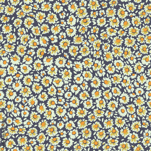 pattern with daisy flowers