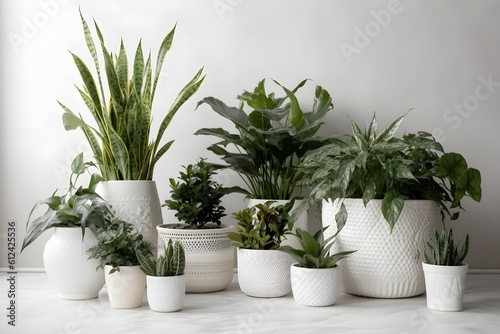 A variety of indoor plants arranged in pots on a white table.