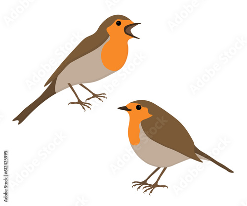 Set of European robin redbreast. Erithacus rubecula isolated on white background. Bird is standing and singing. Vector illustration.
