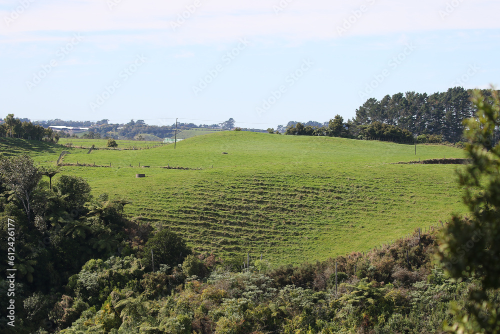 Farmland pastures in New Zealand, Taranaki district