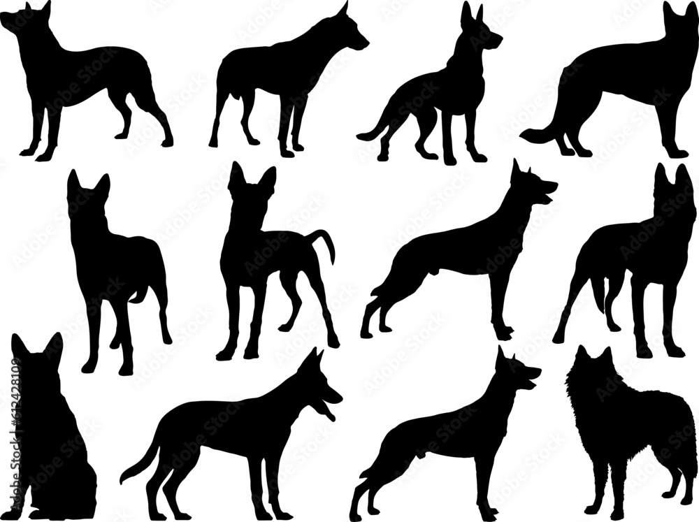 Set of Belgian Shepherd Dog Silhouette