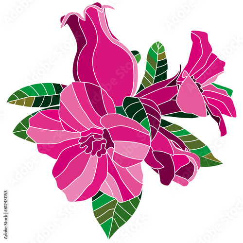 pomegranate flower illustration red flower green leaves pomegranate fruit 