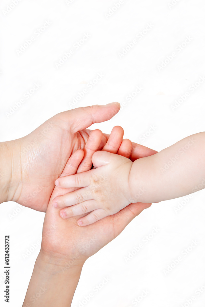Fototapeta premium 白背景の前で重ねる赤ちゃんと大人の手。家族、愛情イメージ