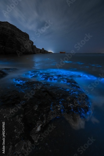 Fototapeta Naklejka Na Ścianę i Meble -  Scenic bioluminescent beach at night