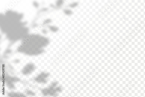Realistic shadow tropical leaves and branches on transparent checkered background. The effect of overlaying shadows. Natural light layout.