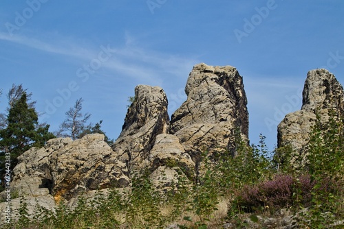 Aerial view of cliff surrounded by trees