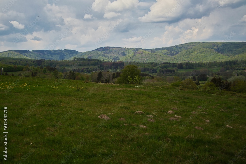 Landscape of a green field with trees and mountains in the background under a cloudy sky.