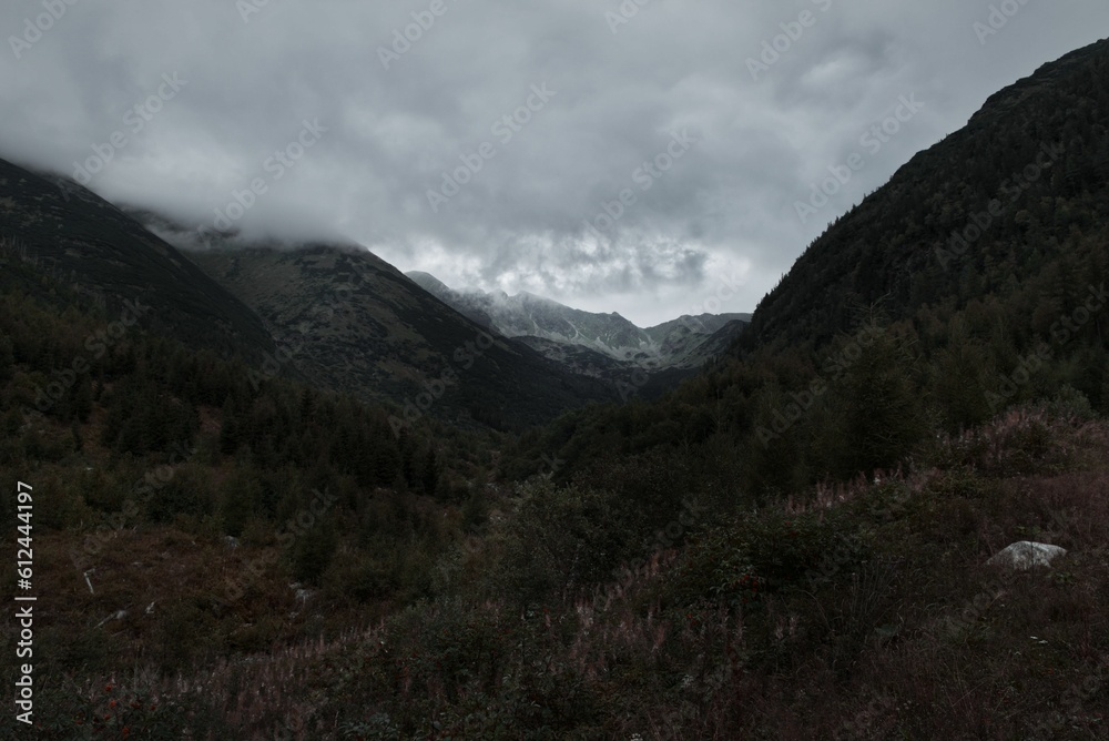 Valley of Ziarska Dolina with mountains on a cloudy day in High Tatras, Slovakia