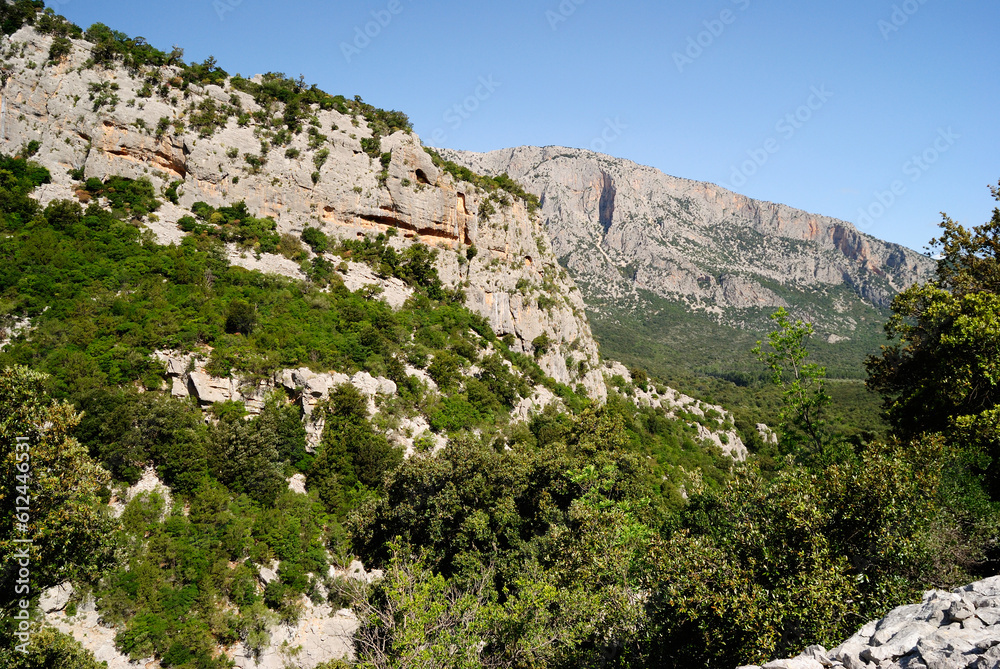 Il sentiero dal cuile Sas Traes al cuile Sos Mojos, vedita del Monte Tiscali e sullo sfondo Monte Uddè Il sentiero dal cuile Sas Traes al cuile Sos Mojos, vedita del Monte Tiscali e sullo sfondo Monte Uddè