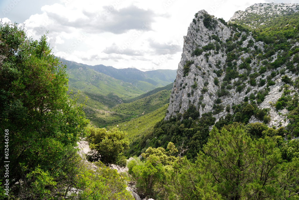 Il sentiero dal cuile Sos Mojis alla valle di Surtana, sullo sfondo la valle di Oddoene e alla sinistra Monte Cucuttos