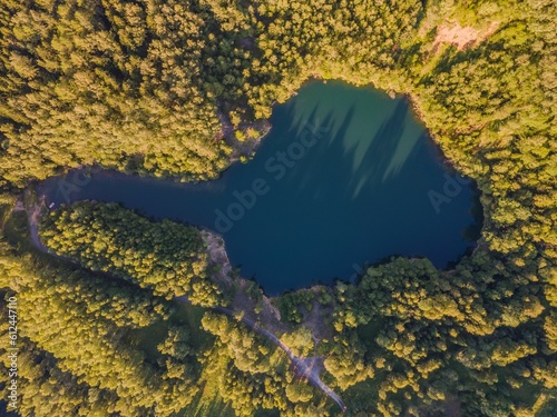 Scenic aerial view of a lake in a forest