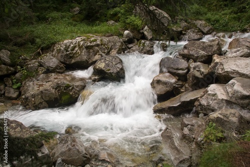 Flowing river in forest