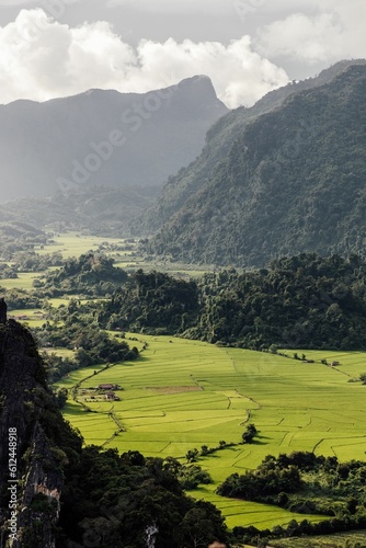 Εκτύπωση καμβά Vertical aerial shot of rice fields and trees in front of a mountainside