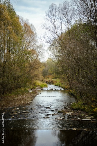 Vertical of a river through the garden with trees and grass around