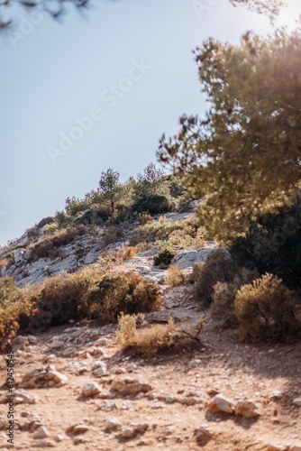 Vertical shot of rock with dry vegetation against a blue sky background