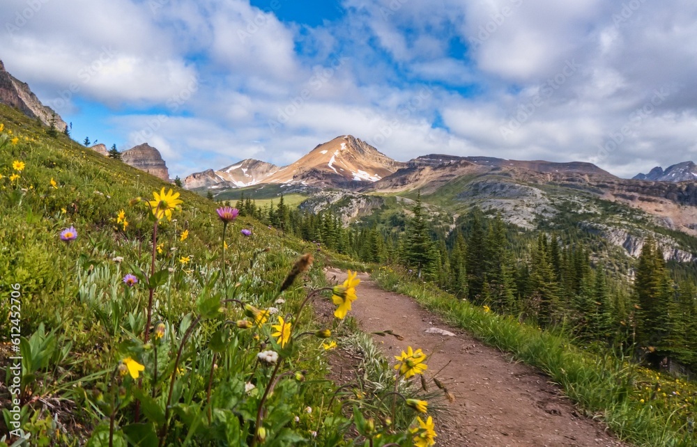 Scenic mountain view form a trail liined with wild flowers