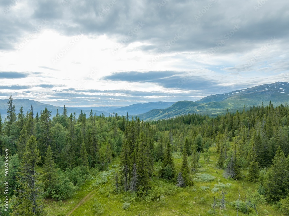 Beautiful shot of the Swedish mountains of Are in Copperhill in summer