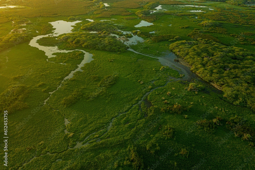 Stunning sunrise illuminates a lush green meadow, with a tranquil river snaking through it.