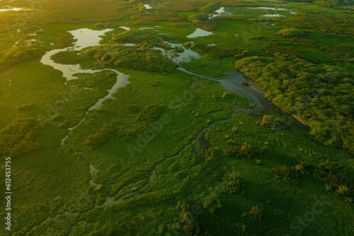 Stunning sunrise illuminates a lush green meadow  with a tranquil river snaking through it.