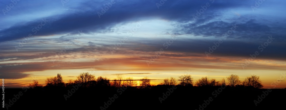 Panoramic shot of a cloudy sunset sky with tree silhouettes