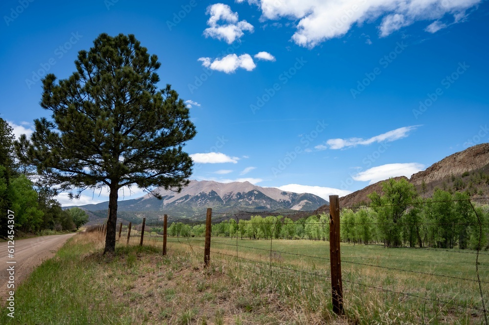 Beautiful landscape with a fence along the country road