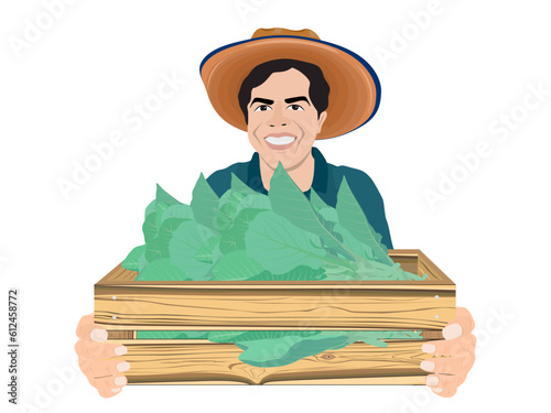 Farmers picking kale with their hands.