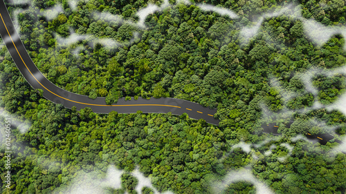 Green forest with asphalt road in photo taken from above - aerial view - CO2-free, zero emissions. Vast green natural forest