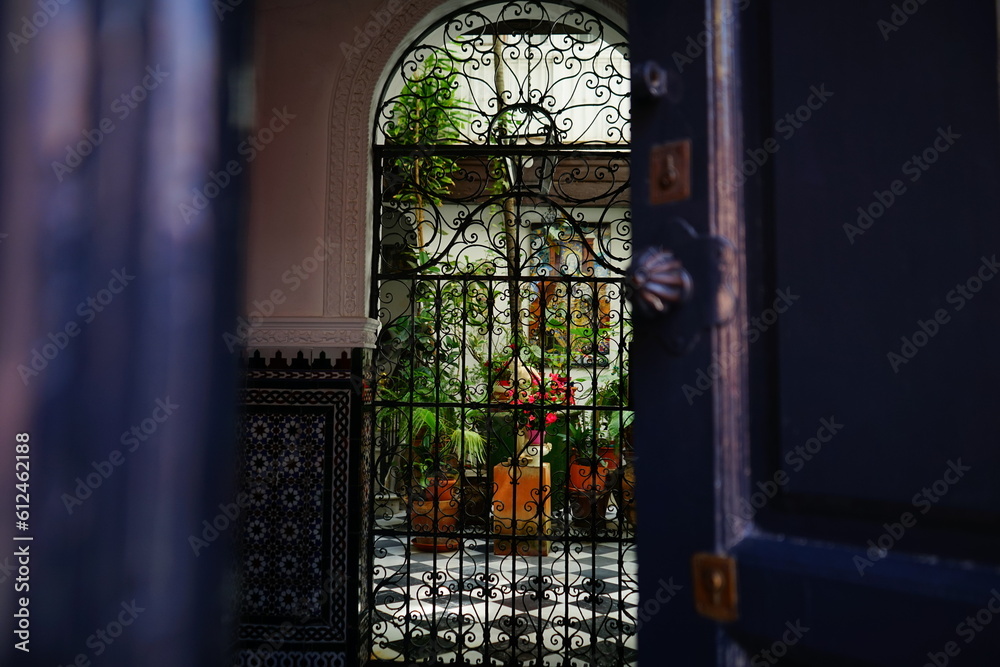 Opened door to private cloister full of plants - obrazy, fototapety, plakaty 
