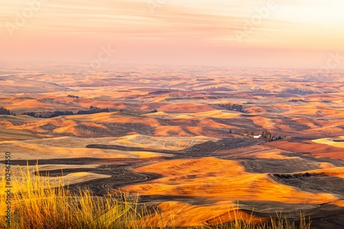 Beautiful golden sunset over a harvested wheat field with a rolling hill surface © Baitang Ning1/Wirestock Creators