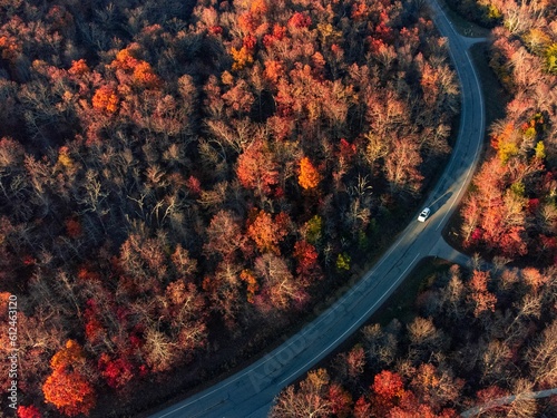 Aerial drone shot of beautiful autumn trees near the curvy road