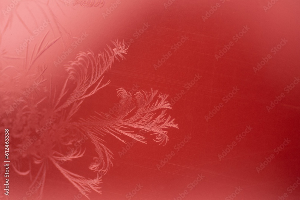 3d rendered illustration of snow frost on windows isolated on a red background