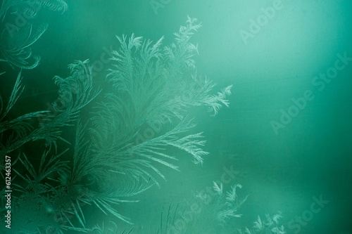 3d rendered illustration of snow frost on windows isolated on a green background