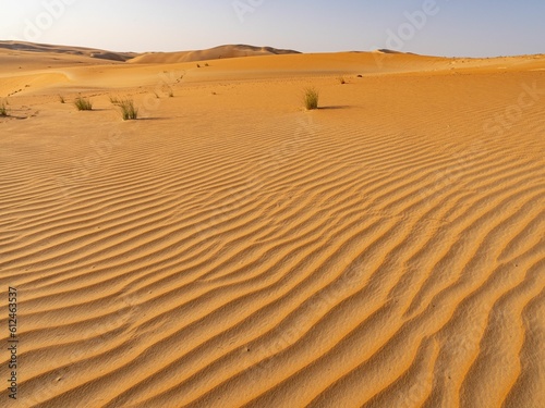 Beautiful shot of the Abu Dhabi desert on a sunny day in Liwa, United Arab Emirates