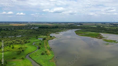 Drone view of a beautiful forest near the lake in Biesbosch, Netherlands photo