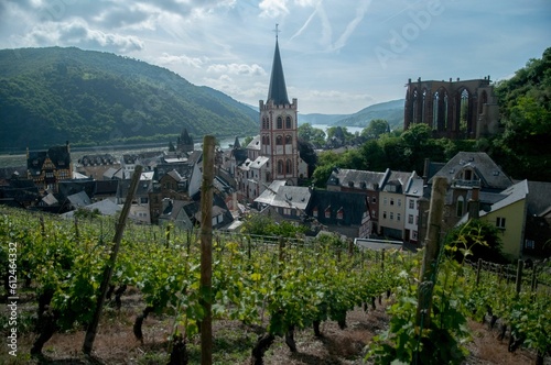 Scenic cityscape of Bacharach town in the background of the vineyard in Germany
