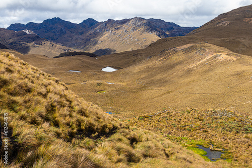 The highlands of the El Cajas National Park in the Ecuadorian Andes. Paramo ecosystem on the slope of Mountain Amarillo. Altitude above sea level 4100 m photo