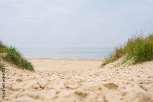 Beach view from the path sand between the dunes at Dutch coastline. Marram grass  Netherlands. The dunes or dyke at Dutch north sea coast