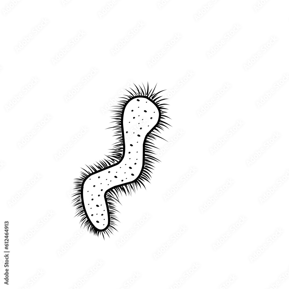 doodle viruses and bacteria doodle viruses and bacteria