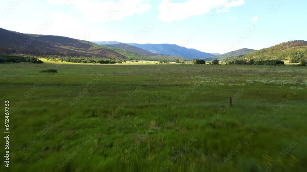 Drone shot of a field with forested mountains and sky in the background Drone shot of a field with forested mountains and sky in the background
