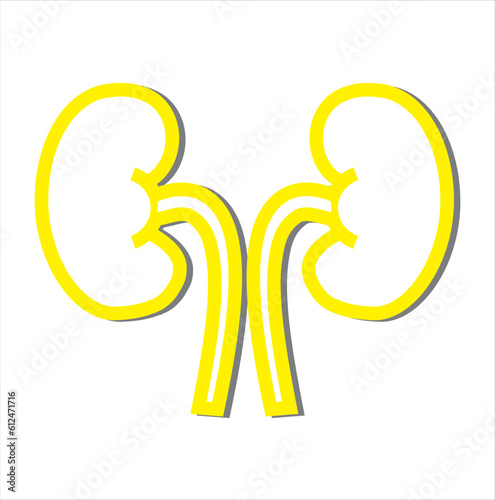 Kindeys icon, Human internal organ line icon