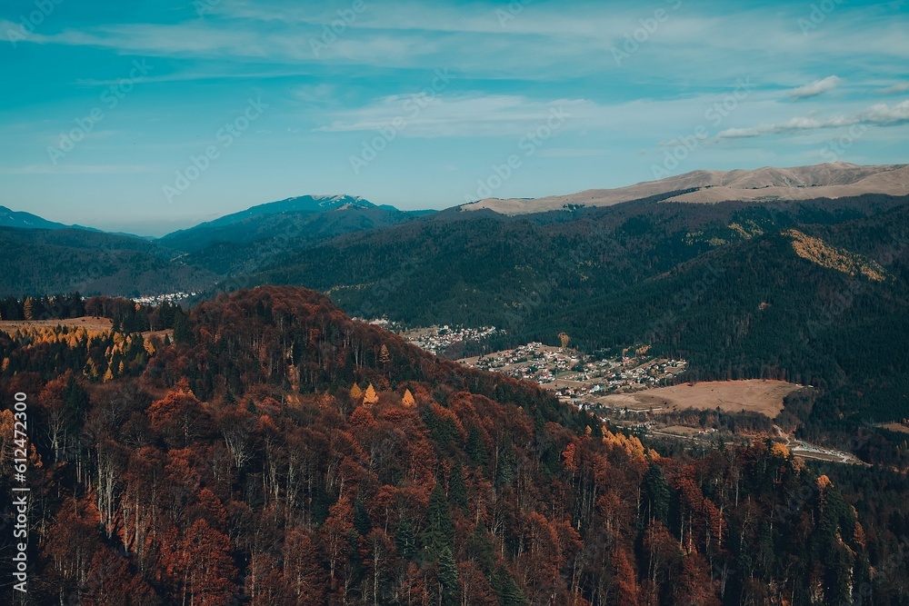 Aerial view of red trees in the mountain