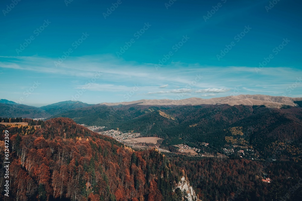 Aerial view of red trees in the mountain